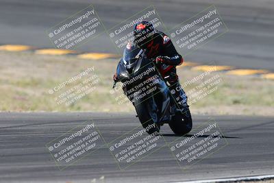 media/Apr-14-2024-SoCal Trackdays (Sun) [[70f97d3d4f]]/5-Bowl Exit (1020am)/